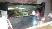 2015-12-16 Vno?n ?ten